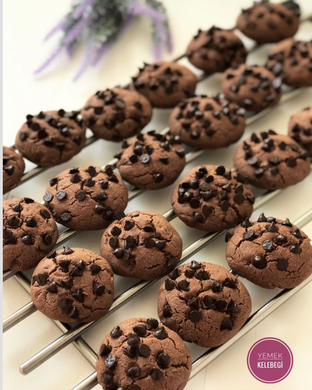 KAKAOLU DAMLA ÇİKOLATALI KURABİYE