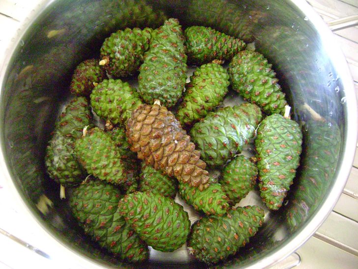 Çam Kozalağı Suyu ve Hiç Duymadığınız 5 Önemli Faydası