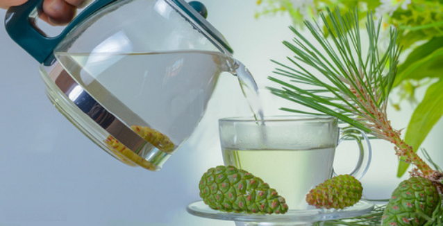 Çam Kozalağı Suyu ve Hiç Duymadığınız 5 Önemli Faydası