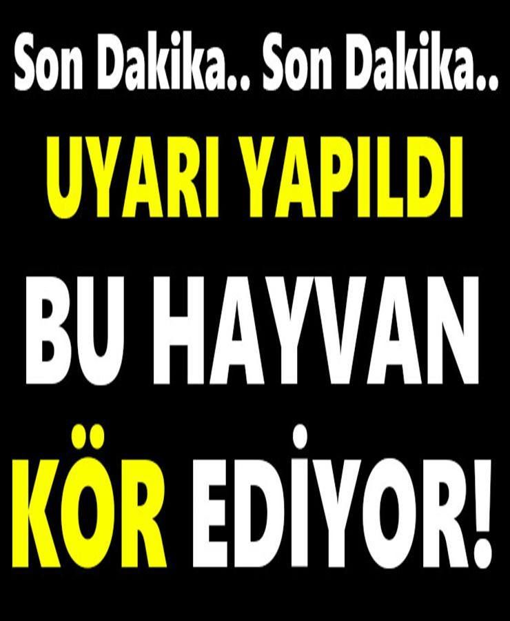 DİKKAT ÇEKEN UYARI