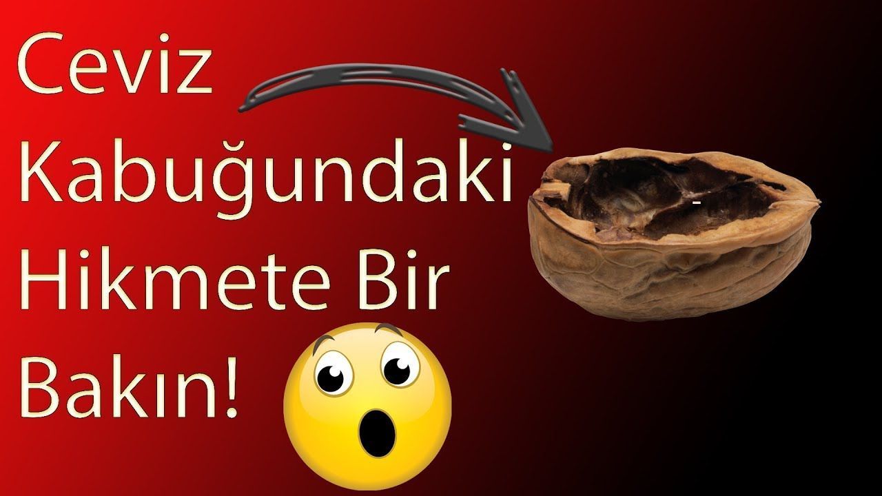 Ceviz ve Kabuğundaki Gizli Mucizeler
