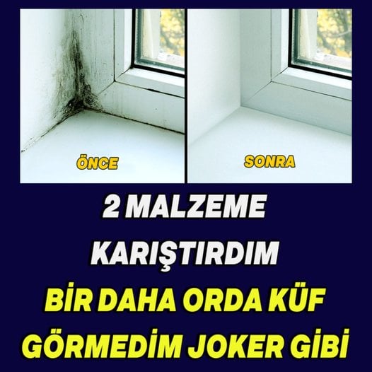 Duvarlardaki küfü yok etmek için..